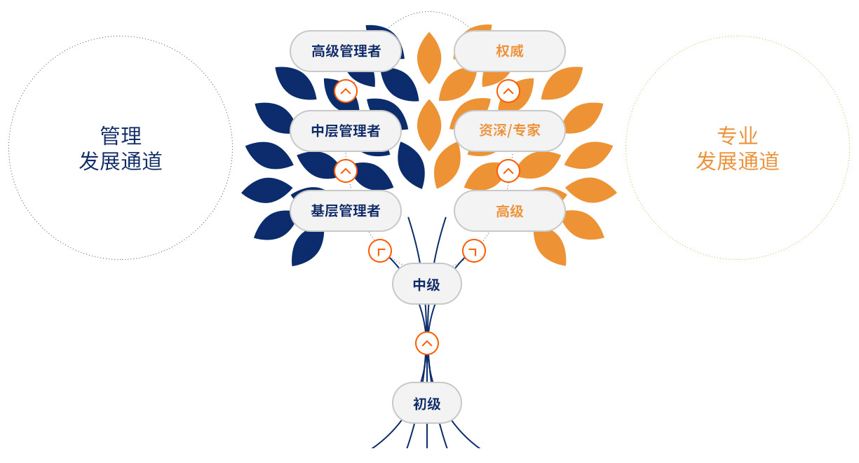 train_development_01 MRCAT猫先生_官方网站
