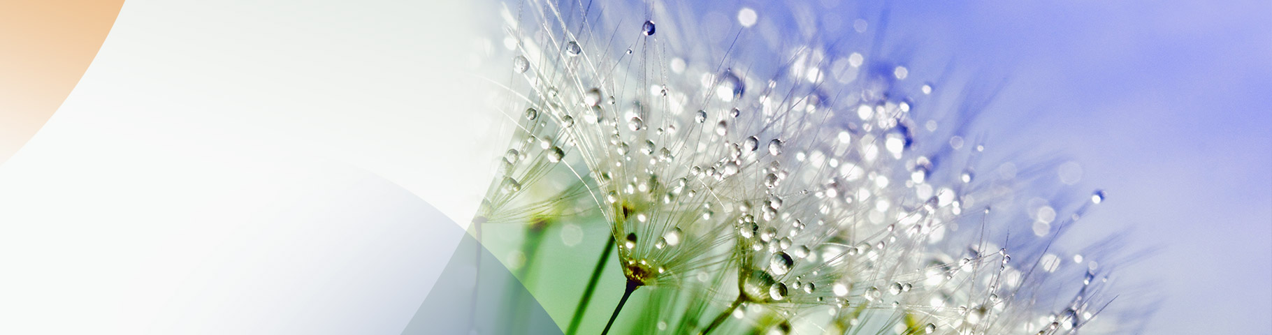 clean-banner2